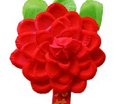 一朵小红花