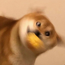 我叫穷得瑟