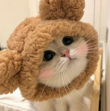 傻孩子.
