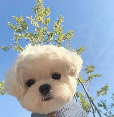 少年的范儿
