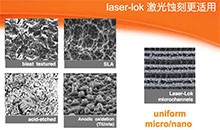 美国百好瑞biohorizons种植体	