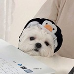 姜姜姜