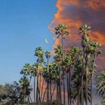 你是什么小蚊子