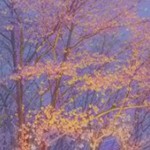 雨过天不晴
