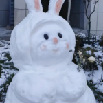 雪兔