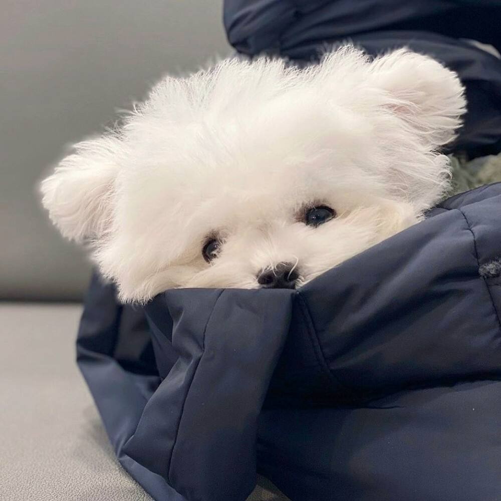下三