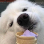 夏天要吃冰淇淋