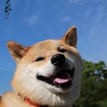 匿名