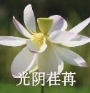 匿名用户