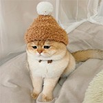 安安