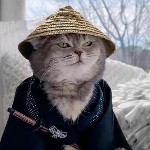 呜呜·