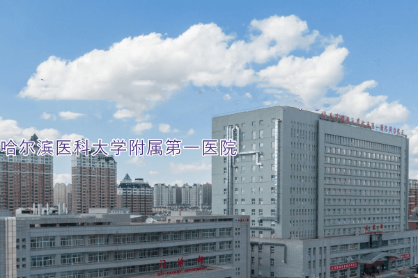 哈尔滨医科大学附属第一医院眼科