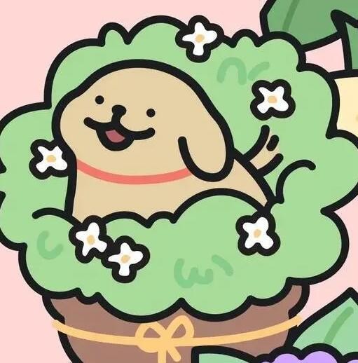 可爱过的头