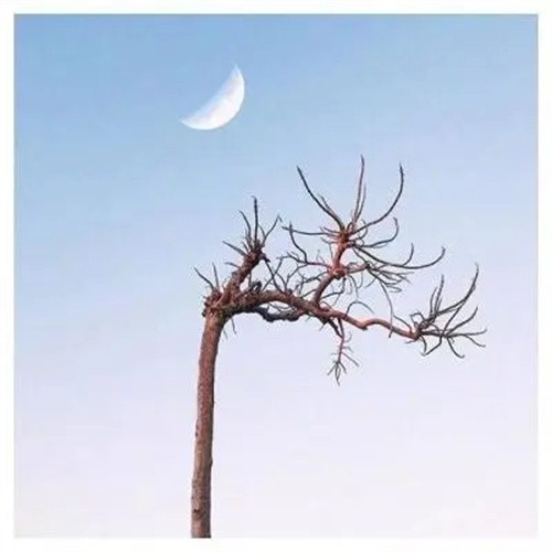 Nefelibata