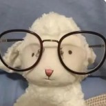 青春物语