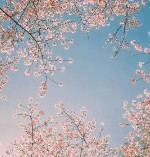梦想