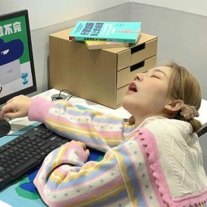 妞麻