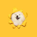 涂个粉