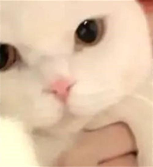哈哈哈哈