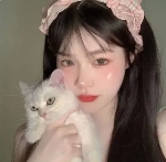 理由