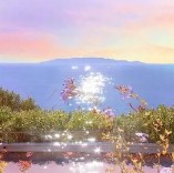 柚子