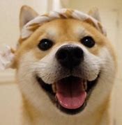 旺财