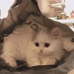 执着