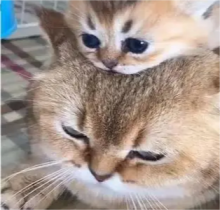 往前走