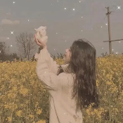 看花
