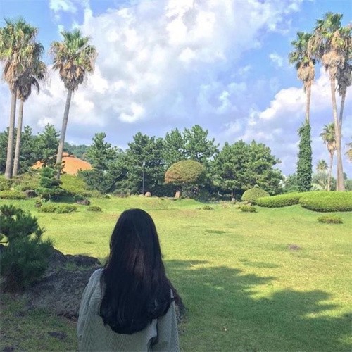 春色七分甜