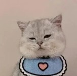 富贵