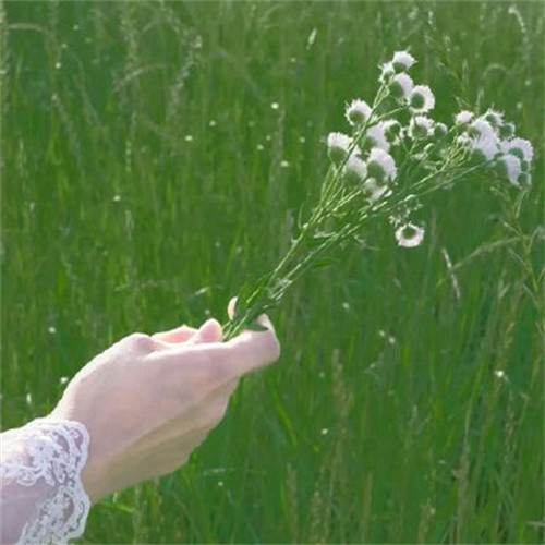 雨过天晴