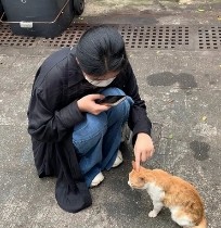 红酒兔