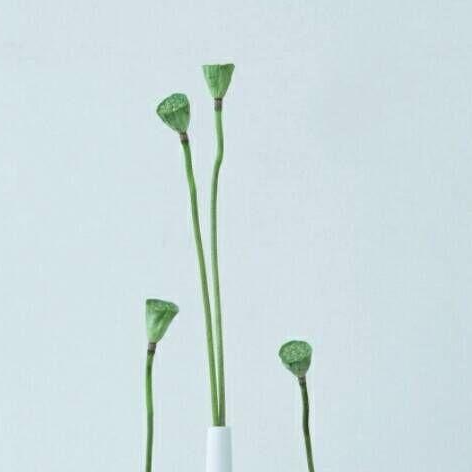 七七嘻嘻嘻