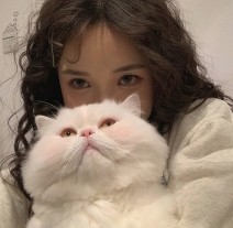 冬来枝白