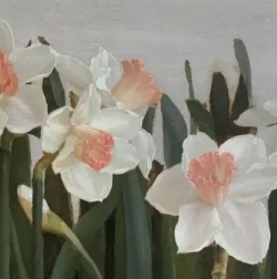 仙来客