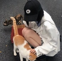 向月亮许愿