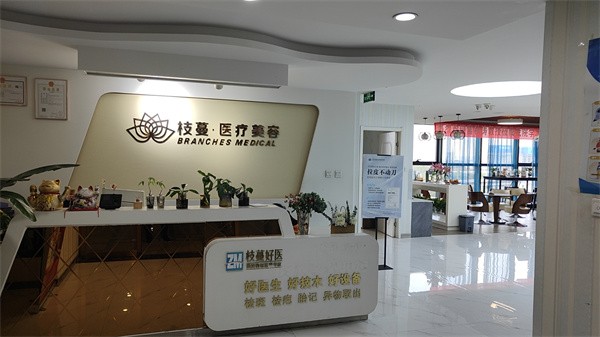 郑州枝蔓医疗美容诊所（河南胎记疤痕研究院）