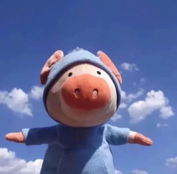 芥末章章