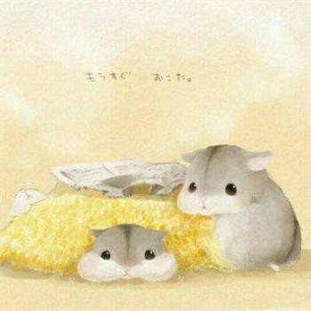 岩主