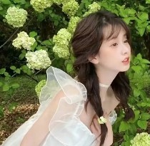 可可宝贝