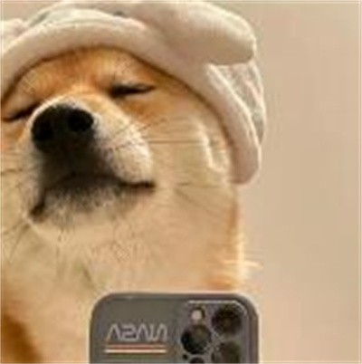 乐乐
