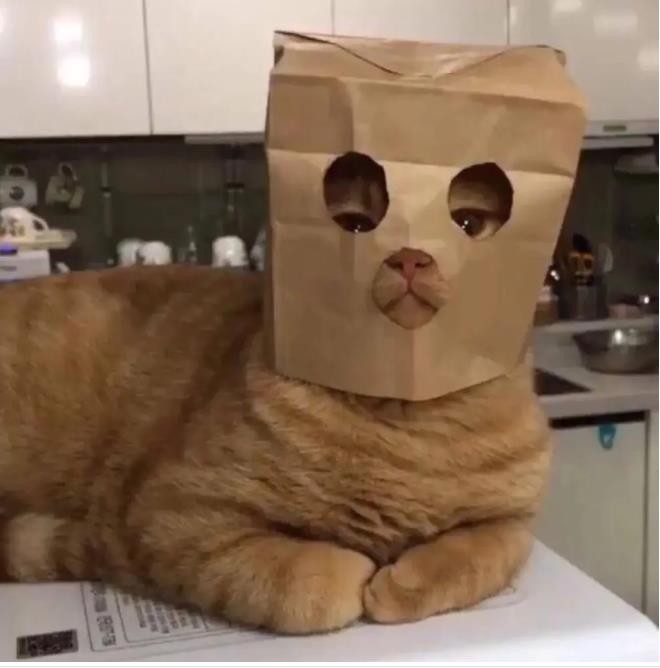 西西