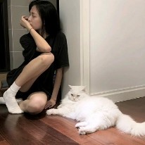 携掱楿箹