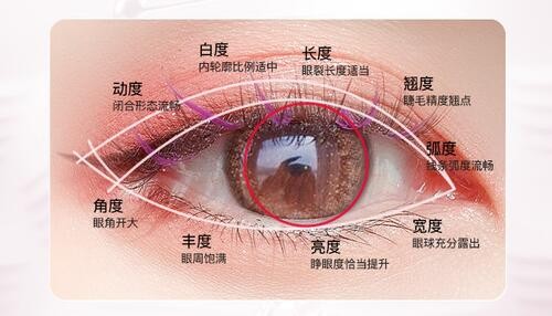雷义波做双眼皮技术好是主打项目,全切+提肌+开眼角眼综合14500元起