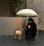 匿名用户