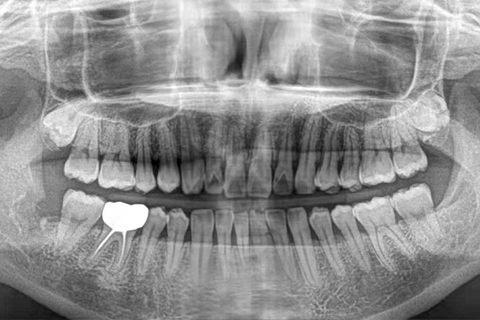 1635399965528421.jpg 未标题-2.jpg