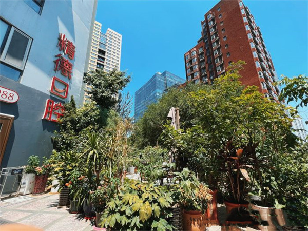北京精德华大口腔诊所（阳光100店）