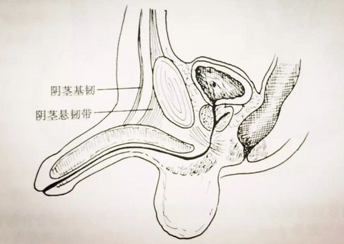重庆星荣整形外科医院李世荣医生的技术不错