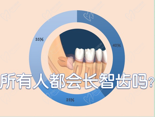 智齿